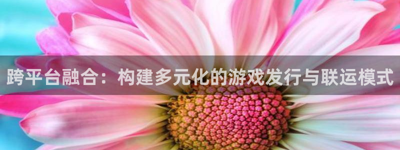 tp钱包怎么找回币：跨平台融合：构建多元化的游戏发行与联运模式
