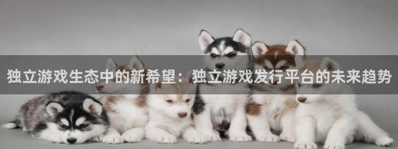 tp钱包官方下载安卓版：独立游戏生态中的新希望：独立游戏发行平台的未来趋势