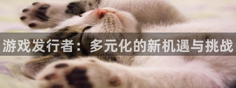 tp钱包冷钱包怎么转账出去：游戏发行者：多元化的新机遇与挑战