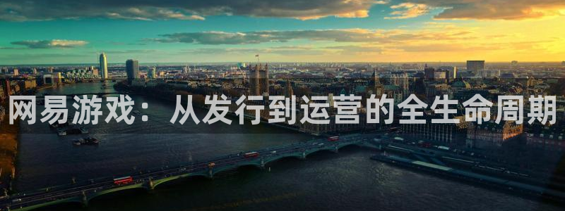 tp钱包跨链闪兑打不开：网易游戏：从发行到运营的全生命周期