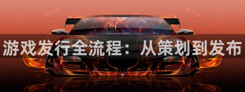 tpm2.0下载：游戏发行全流程：从策划到发布