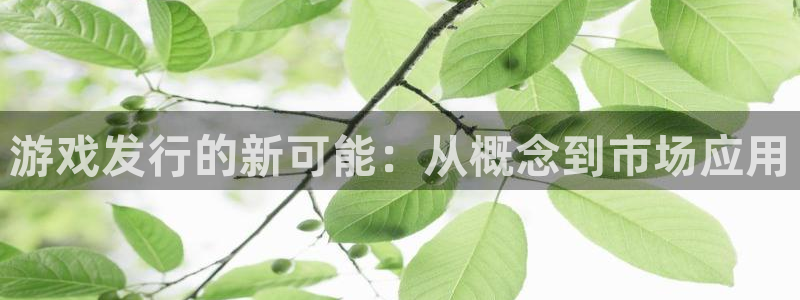 TP钱包安卓版下载app：游戏发行的新可能：从概念到市场应用