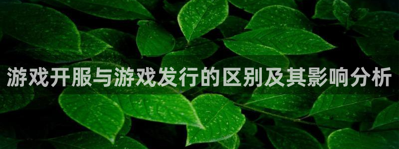 tp区块链钱包