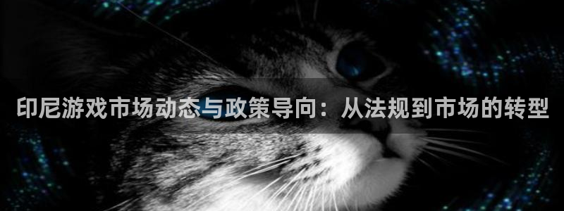 tp钱包怎么删除交易记录