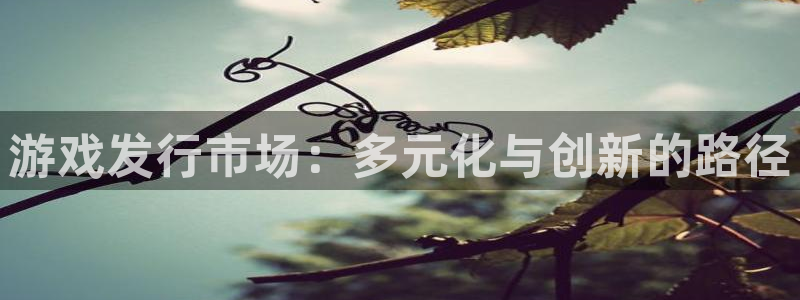 tp钱包人工：游戏发行市场：多元化与创新的路径