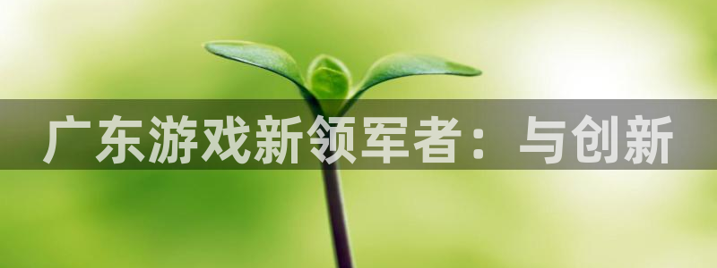 tplogin.zn：广东游戏新领军者：与创新