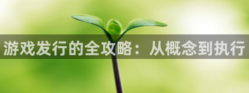 tp钱包联系电话：游戏发行的全攻略：从概念到执行