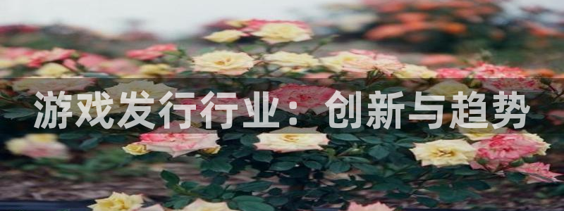 tp钱包ios下载安装：游戏发行行业：创新与趋势