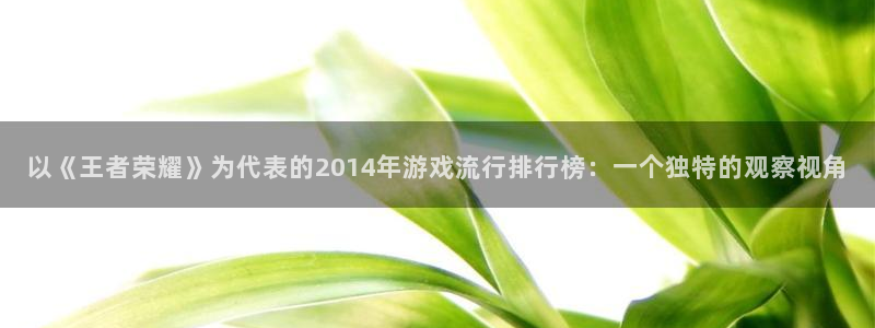 tp钱包升级：以《王者荣耀》为代表的2014年游戏流行排行榜：一个独特的观察视角