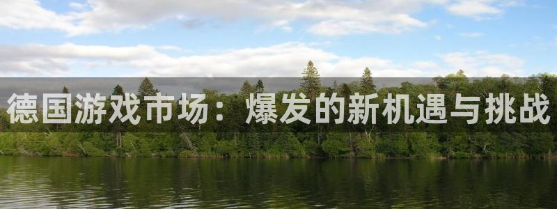 TP钱包最新版本号是多少：德国游戏市场：爆发的新机遇与挑战
